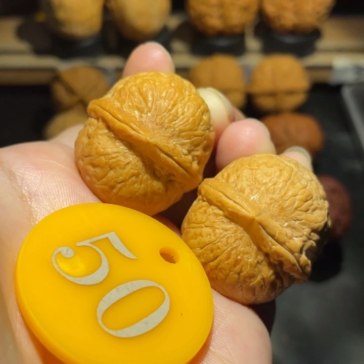 龙珠32尺寸核桃。