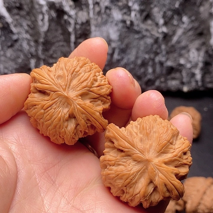 核桃福利山地磨盘核桃