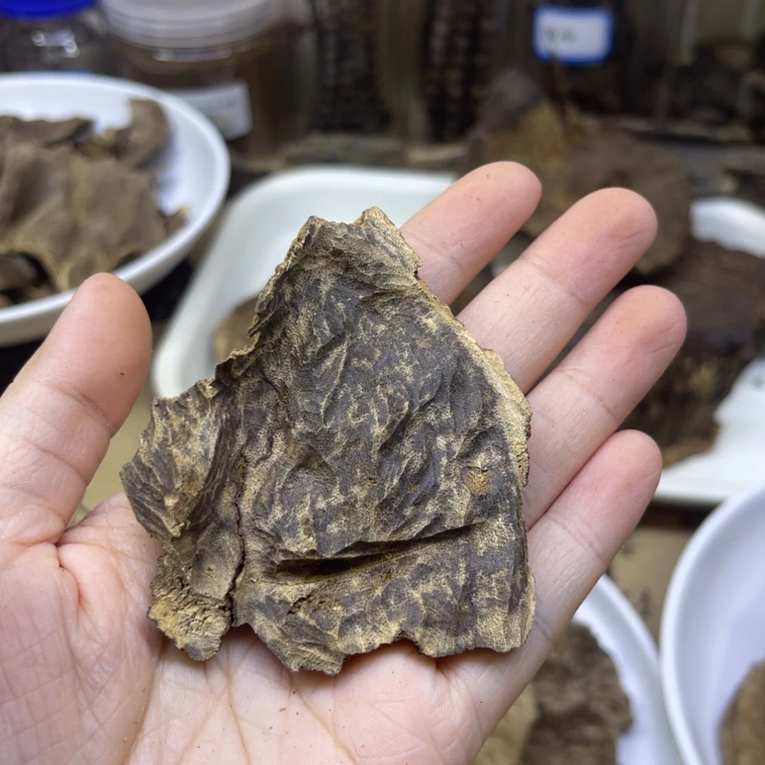 香料海南老头薰香料5.4ke