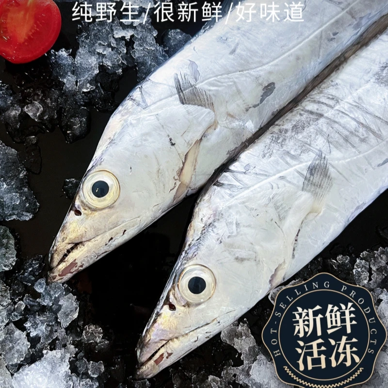 国产正宗舟山雷达网油带东海新鲜刀鱼肉质厚油脂多半斤左右/两