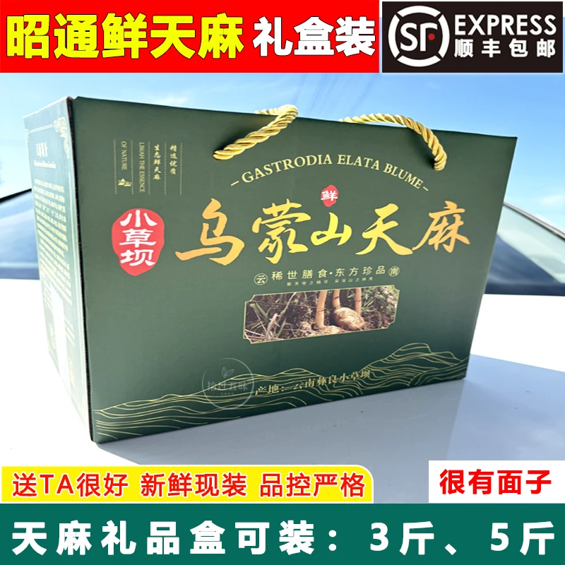 【礼盒装】云南昭通小草坝新鲜天麻产地现挖老品种高山乌天麻礼盒装