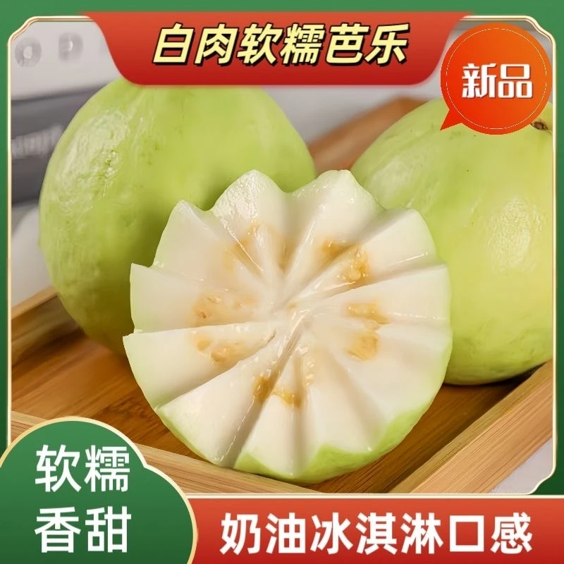 广西白心奶油芭乐水果产地当天采摘直发软糯香甜当季水果现摘现发