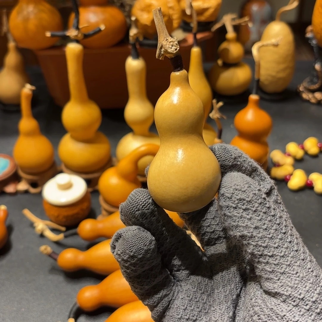 骑***山葫芦8888888888888888