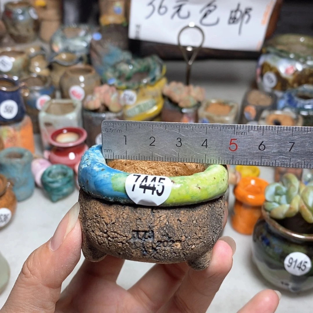 拍3送一个小礼物