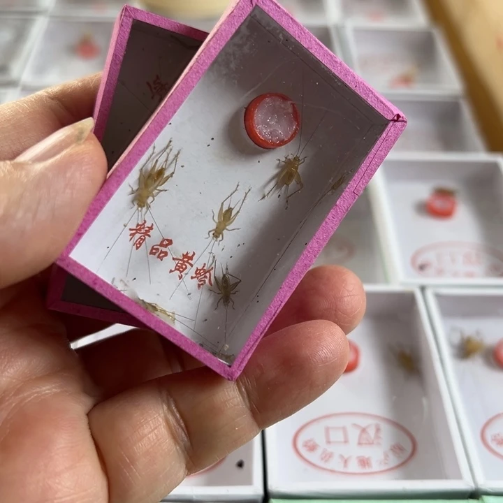 2盒小黄龄好好看看