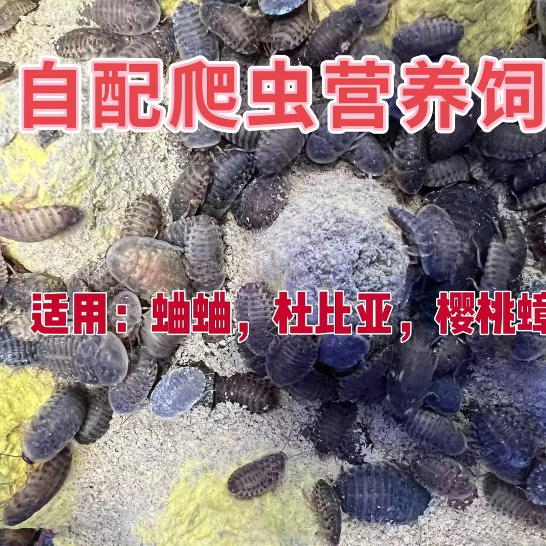 爬虫营养饲料含铁钙锌维生素矿物质蛐蛐饲料杜比亚饲料樱桃饲料