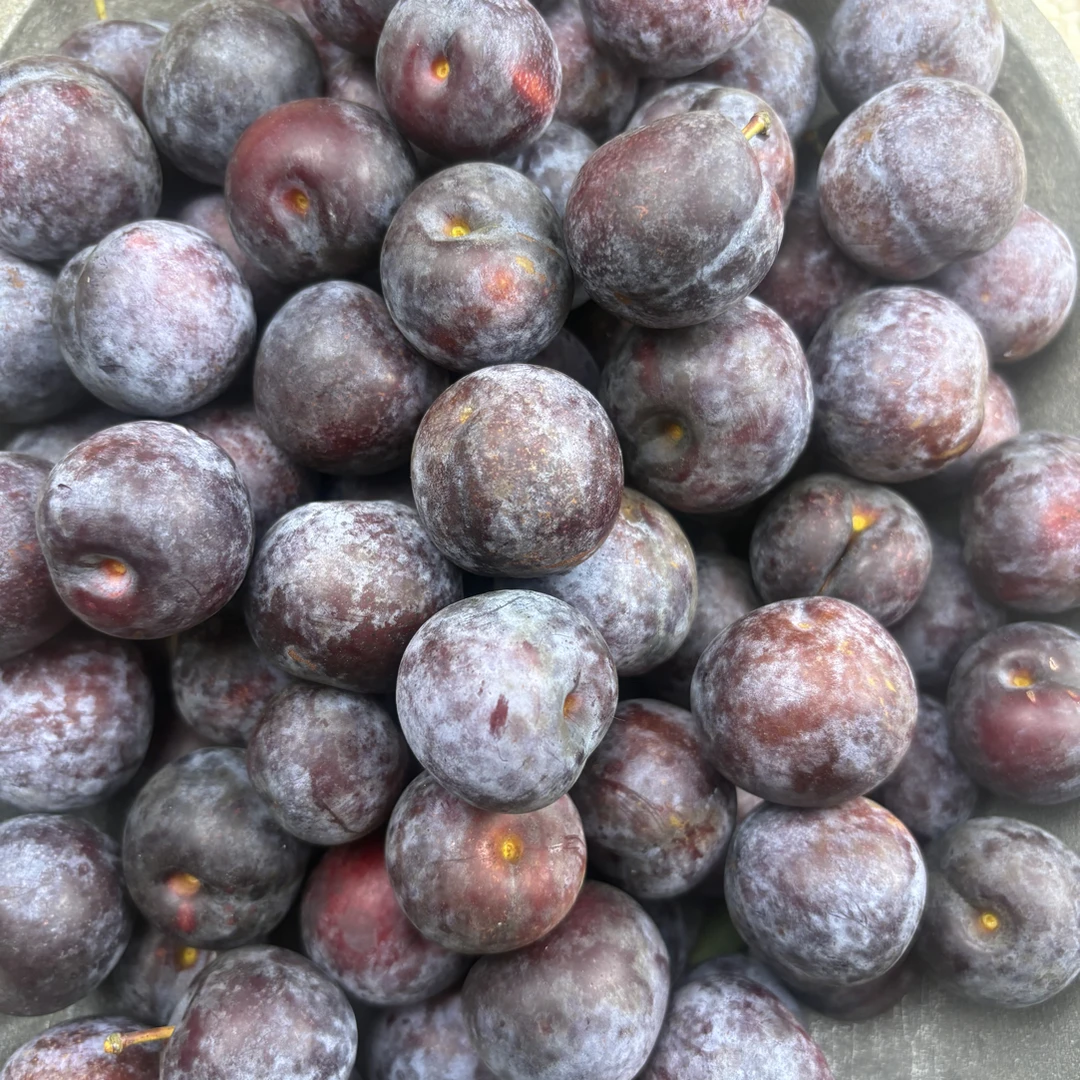 梁平小脆红珍珠李樱桃李脆李当季水果脆甜爽包邮