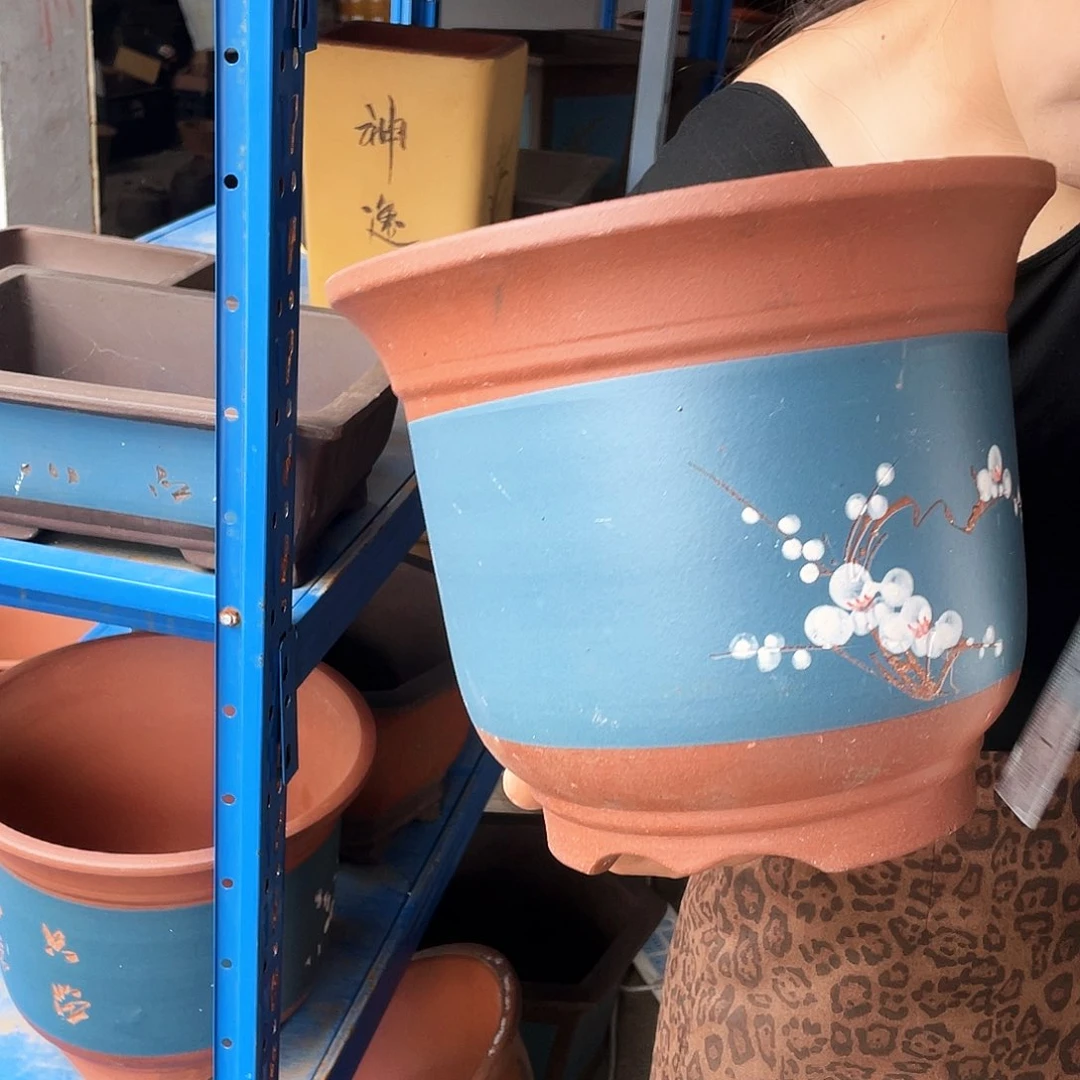 27蓝色点菜金钟花盆紫砂花盆