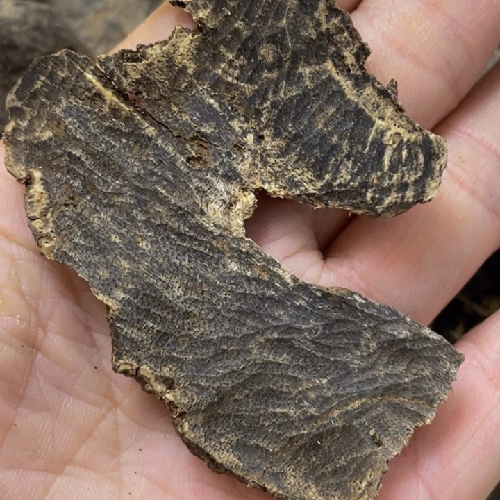 M***x沉香沉香碎屑深圳国香2.5g