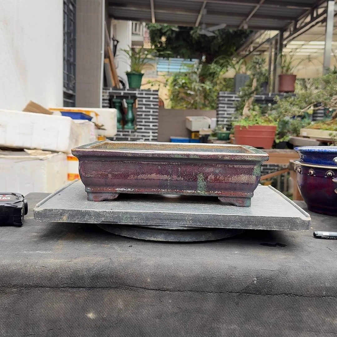 红陶g g g g g g f g g g