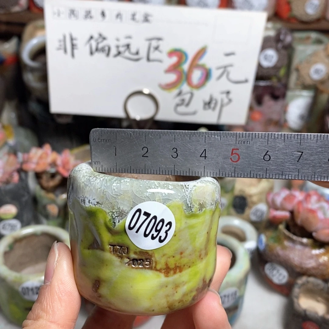 花盆拍3送一个小礼物