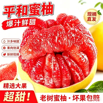【福建平和】红心蜜柚老树蜜柚香甜柚子坏果包赔多仓发货有开果器