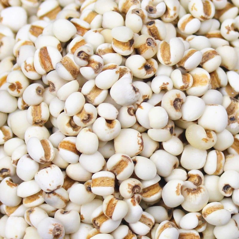 【农家自种】云南大薏仁米