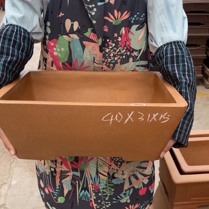 花盆紫砂只顾自己了就行