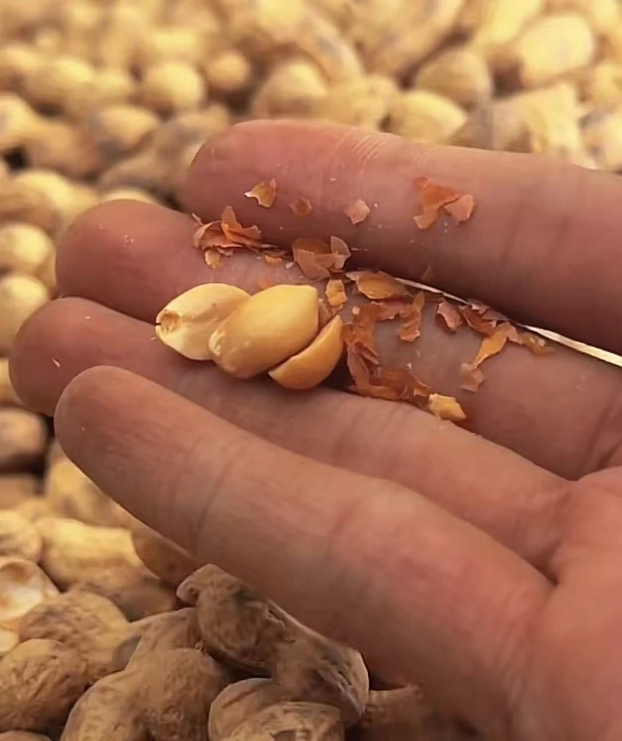 湘西柴火原味花生