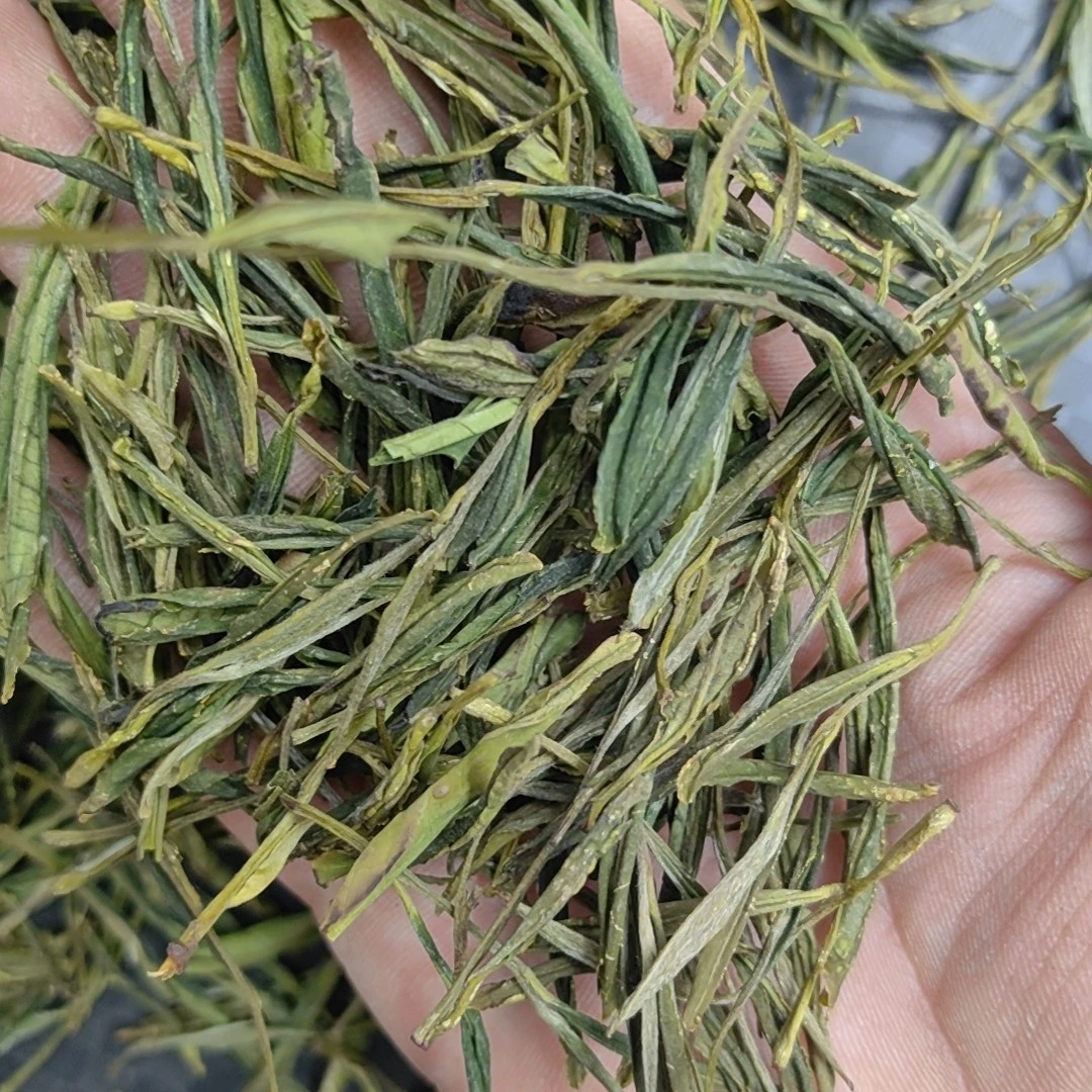 2025大叶子黄山毛峰A8，浓香耐泡，实惠好喝