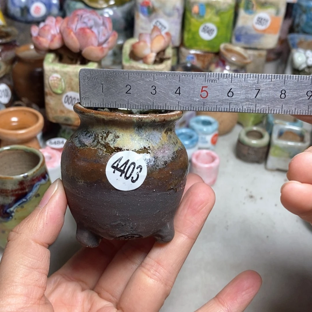 拍5送一个小礼物