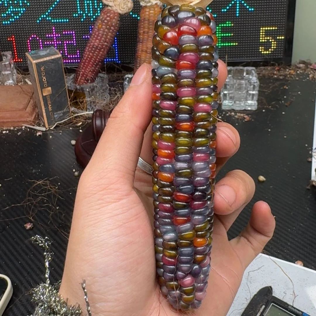 柏香籽/百香籽吊坠❥***?