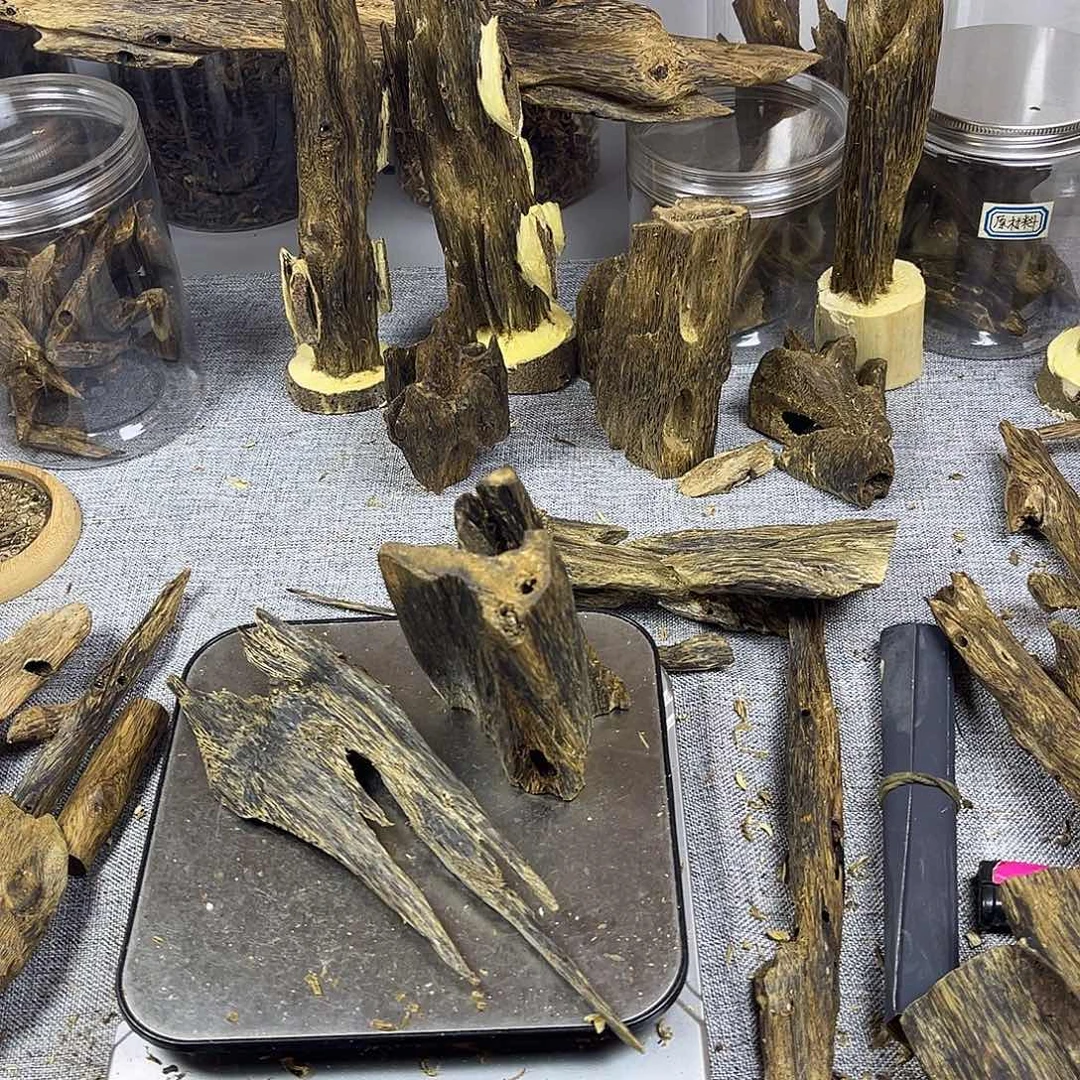 大***.香料奇楠虫漏香81克