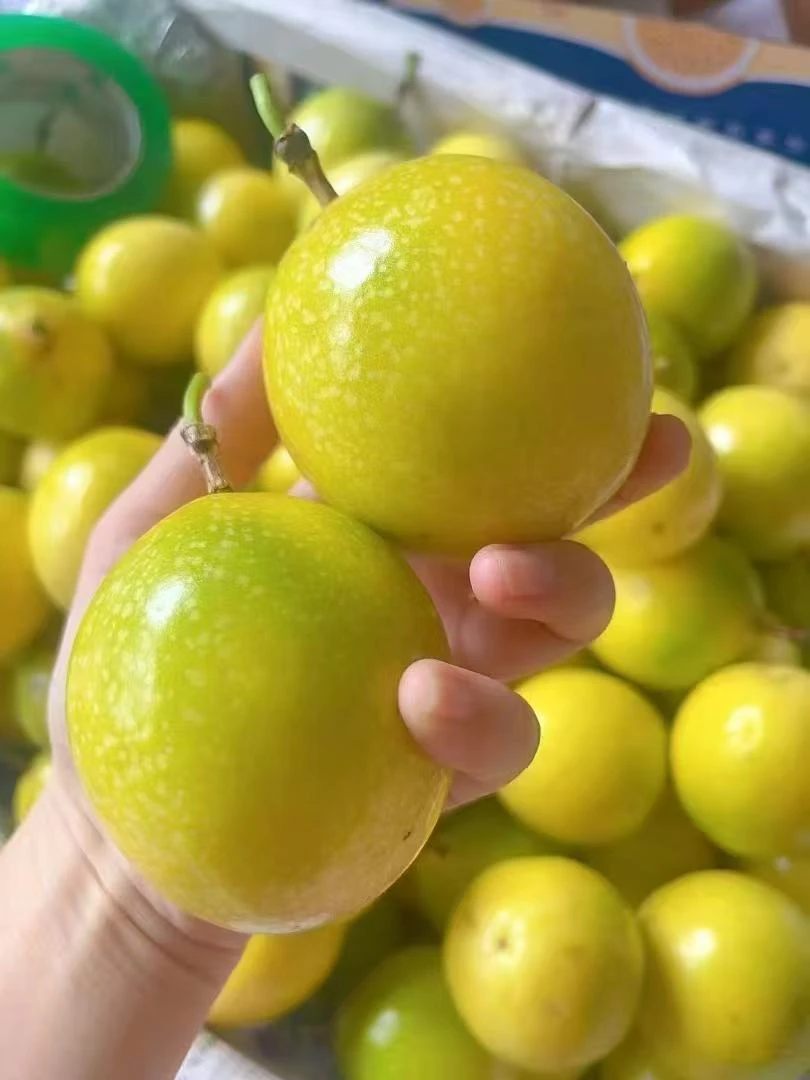 黄金百香果批发 精选大果 口感细腻3斤新鲜VC当季孕妇水果