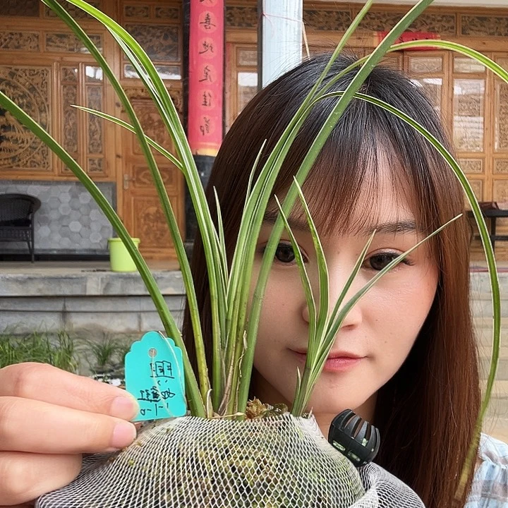 完全开放一物一拍