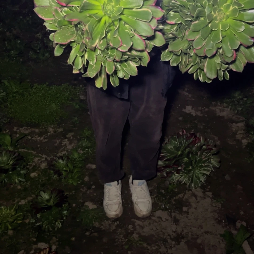 雨花石多肉植物捧花的