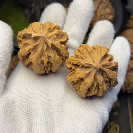 文玩核桃把件秦岭核桃6