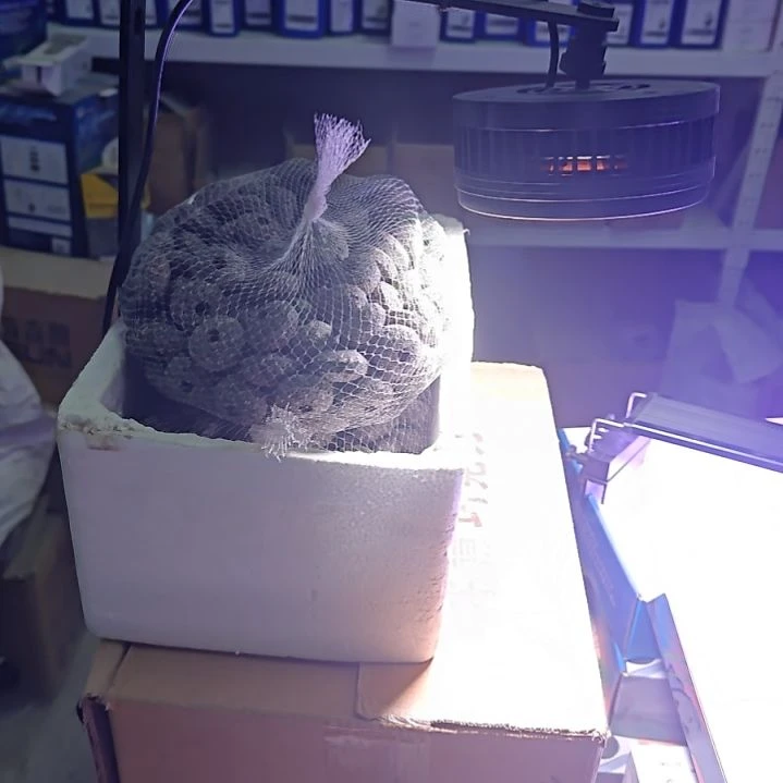 40w 德垚筒灯app顶配版本