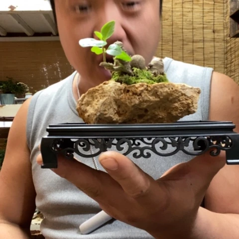 红陶一物一拍所见即所得148