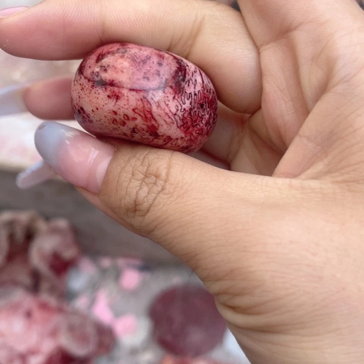 养殖鹿骨三界牌子