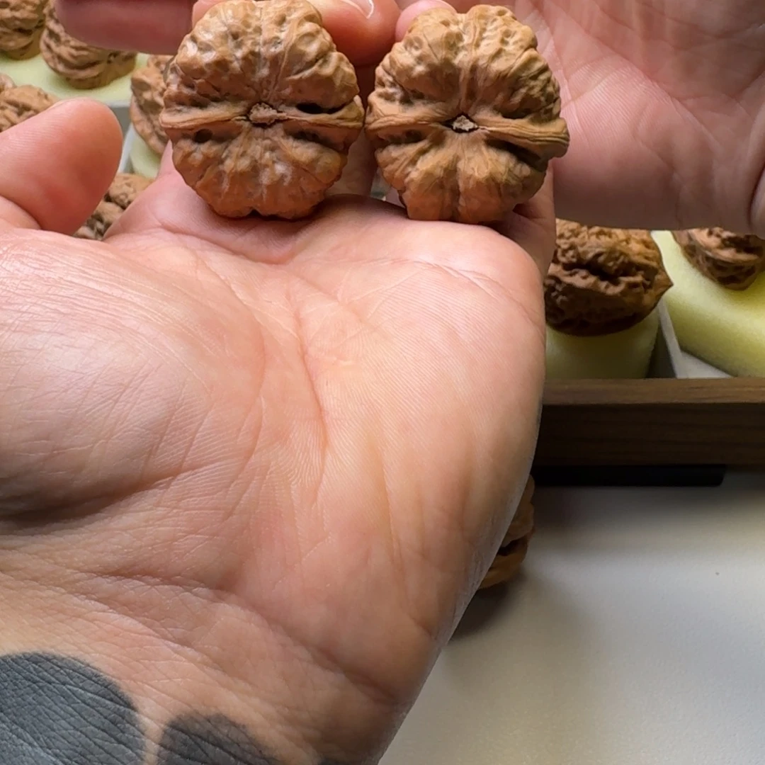 大叶紫檀（黑酸枝木类）