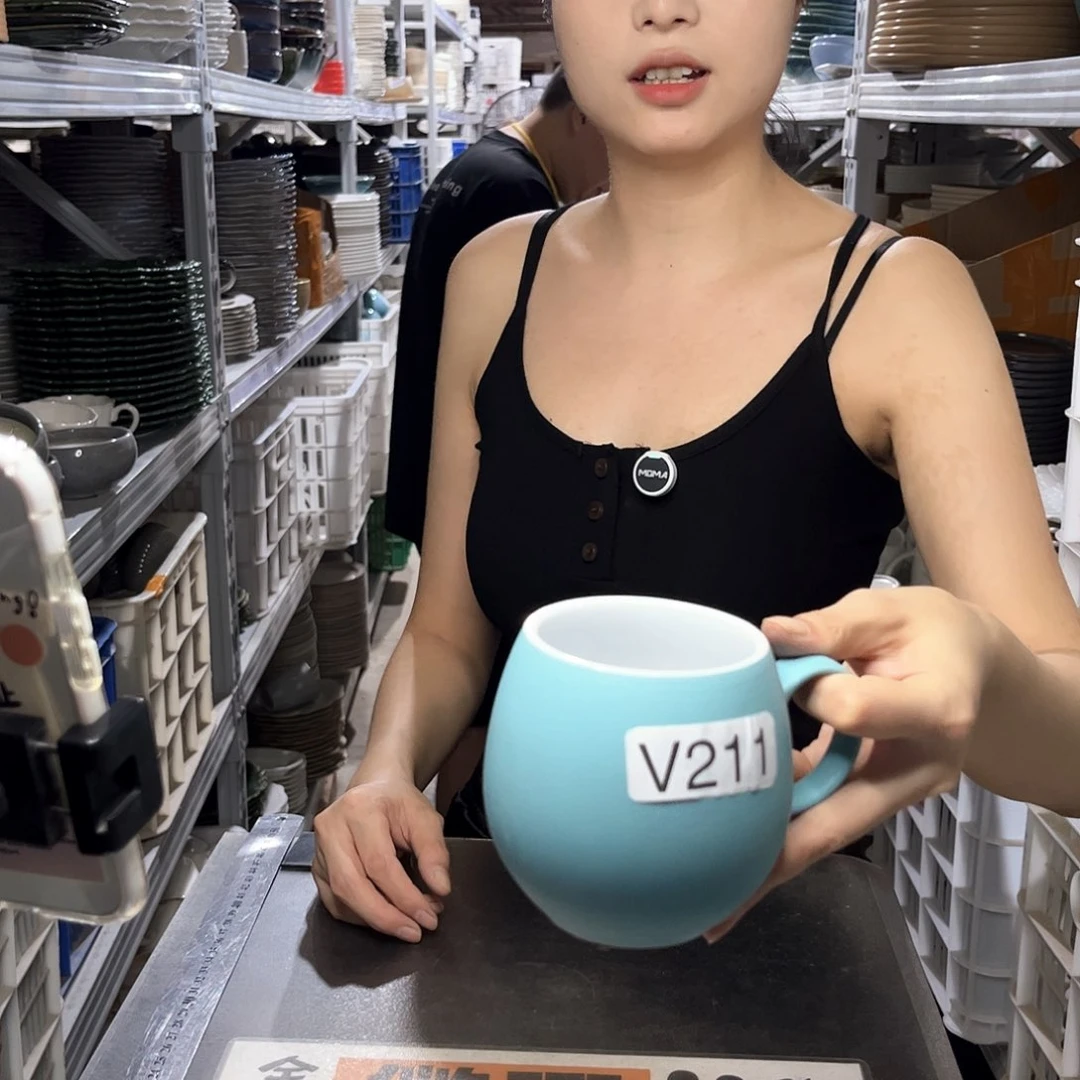 瓷片211           6个