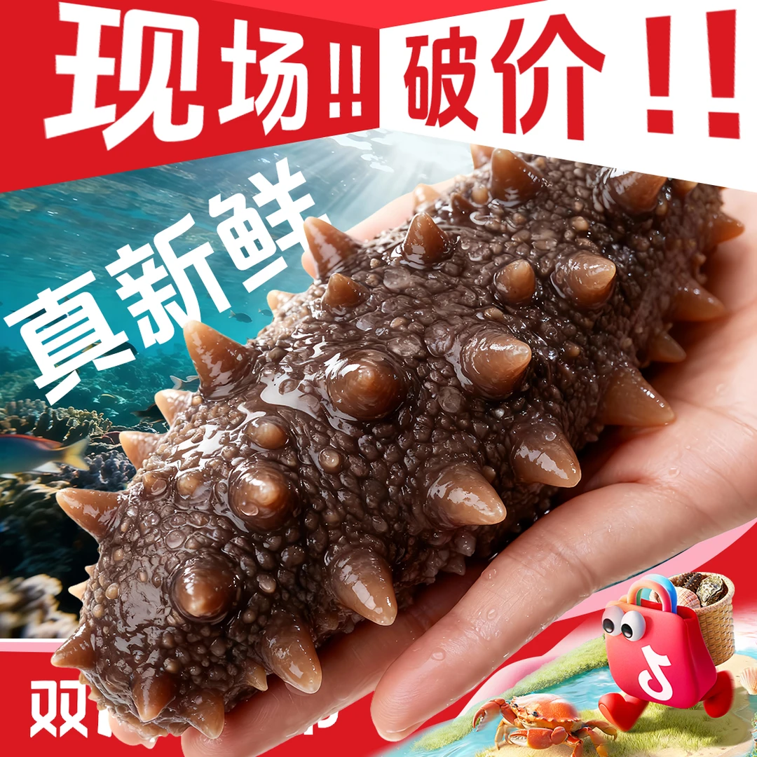 [展会特批] 比脸都大 3斤9A参王大连口感Q弹好吃有嚼劲工厂直发