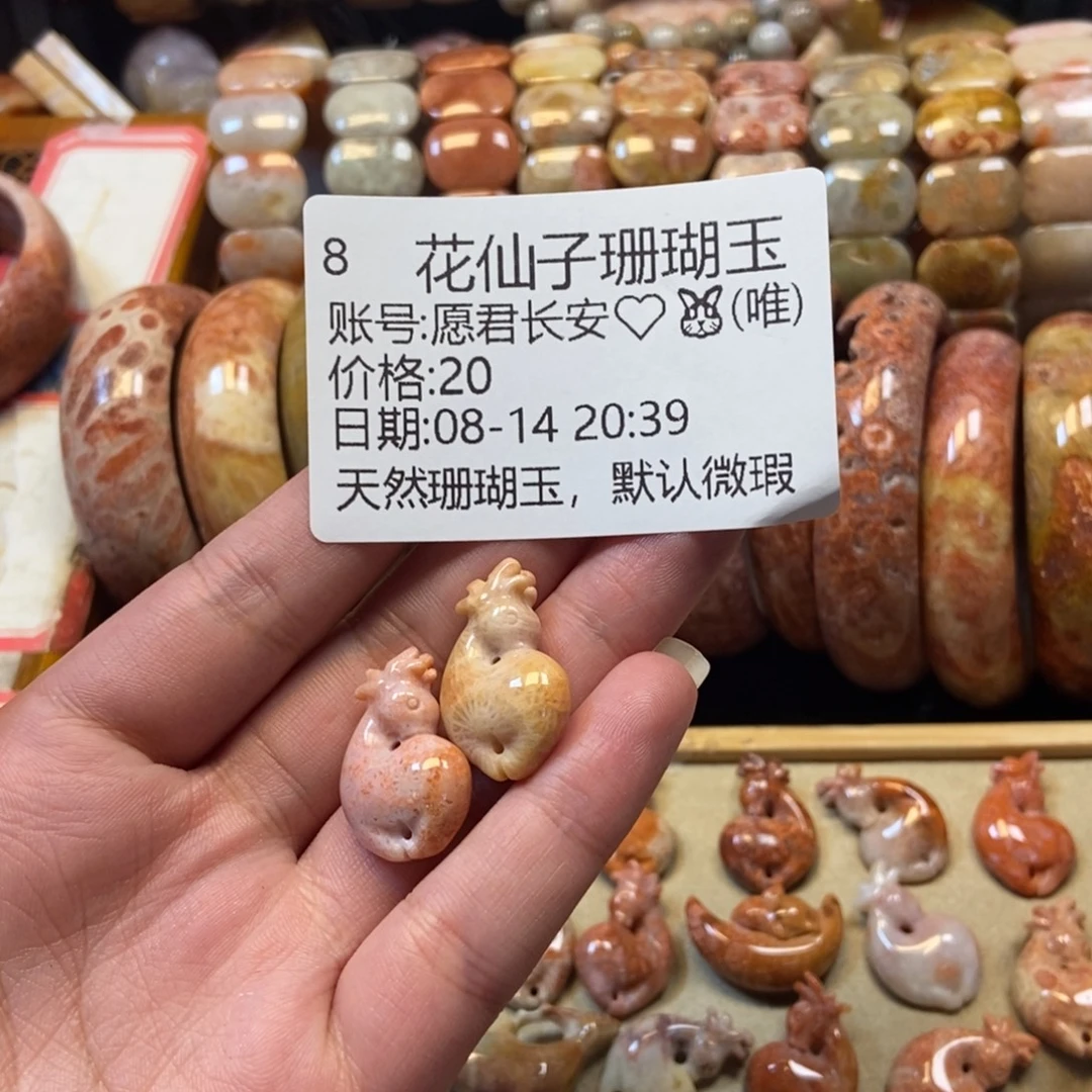 愿***)硅化珊瑚（珊瑚玉）未镶嵌珠宝半成品8