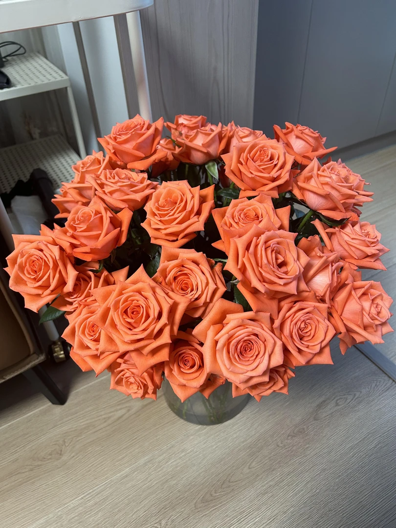 影星玫瑰  鲜花收到需醒花 0°以下需拍保温棉 发出无法退款