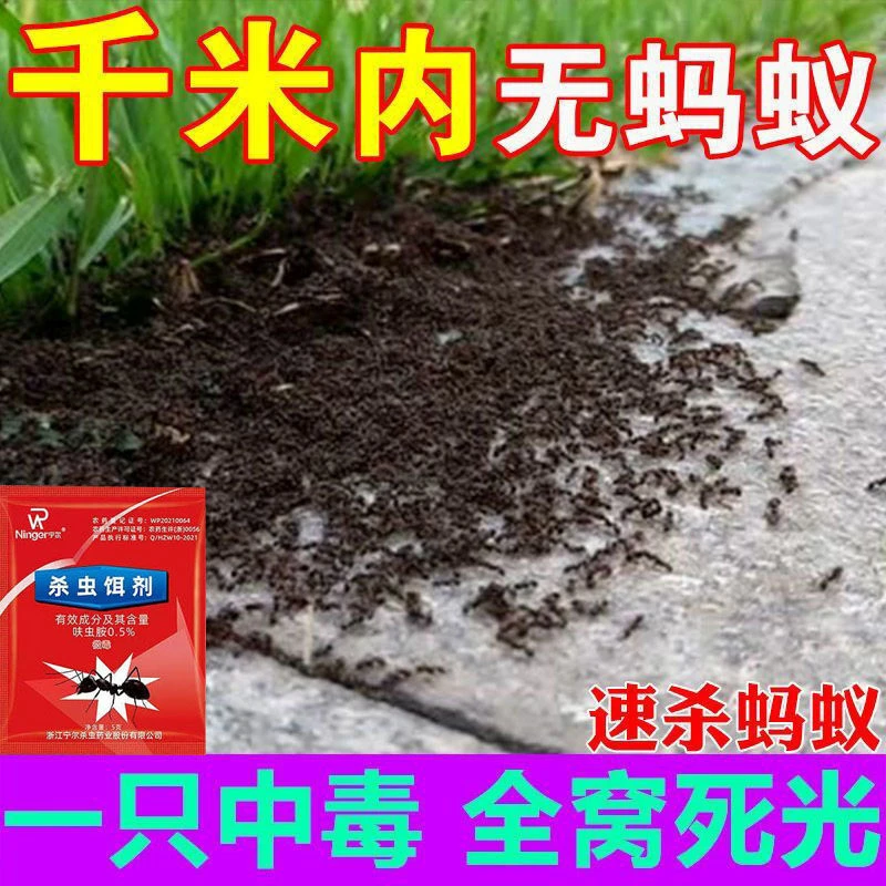 灭蚂蚁药强效全窝端家用无毒厨房室内野外菜地灭蚁清一窝端灭蚁药