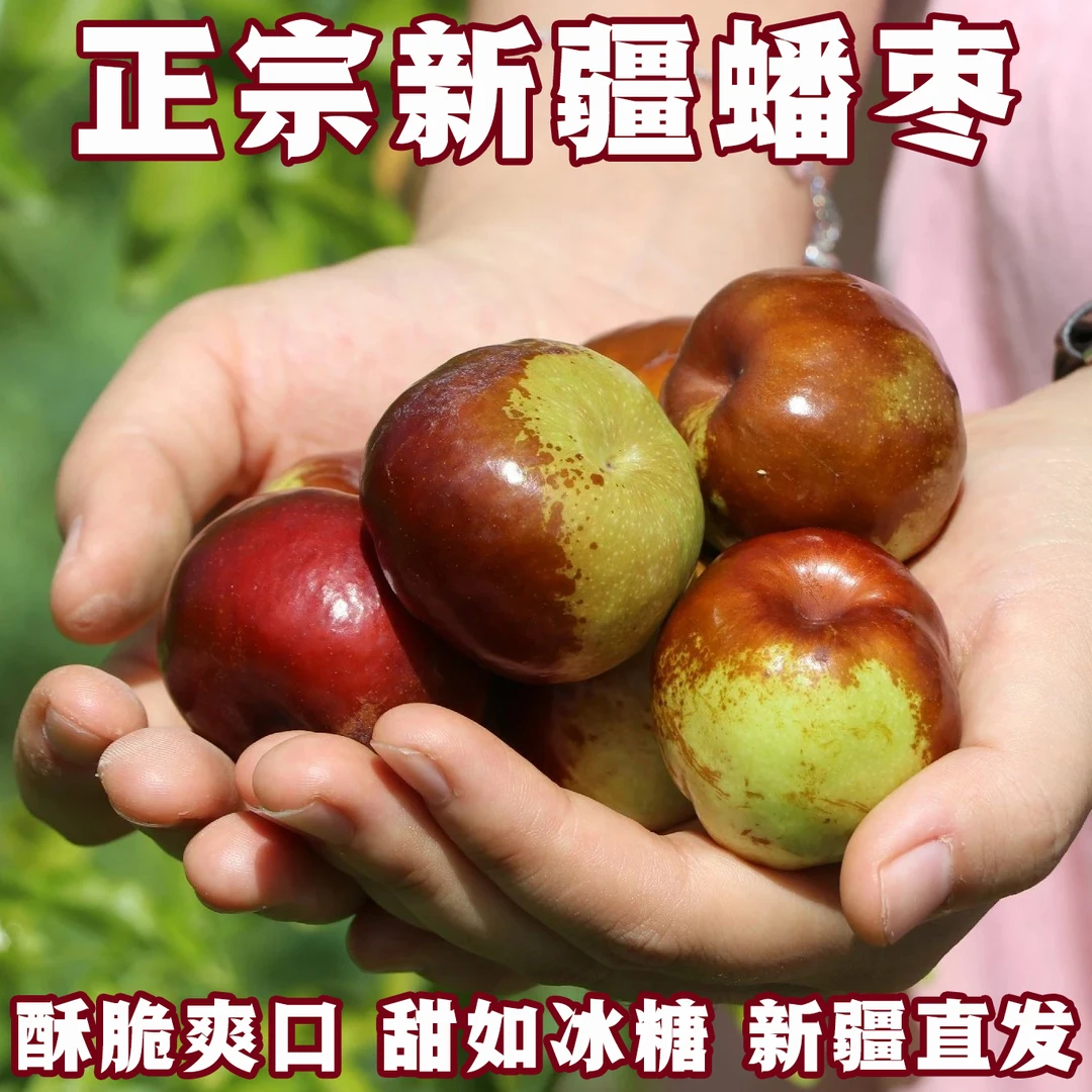 新疆蟠枣正宗特产酥脆爽口冰糖口感产地直发新鲜采摘自然生长整箱