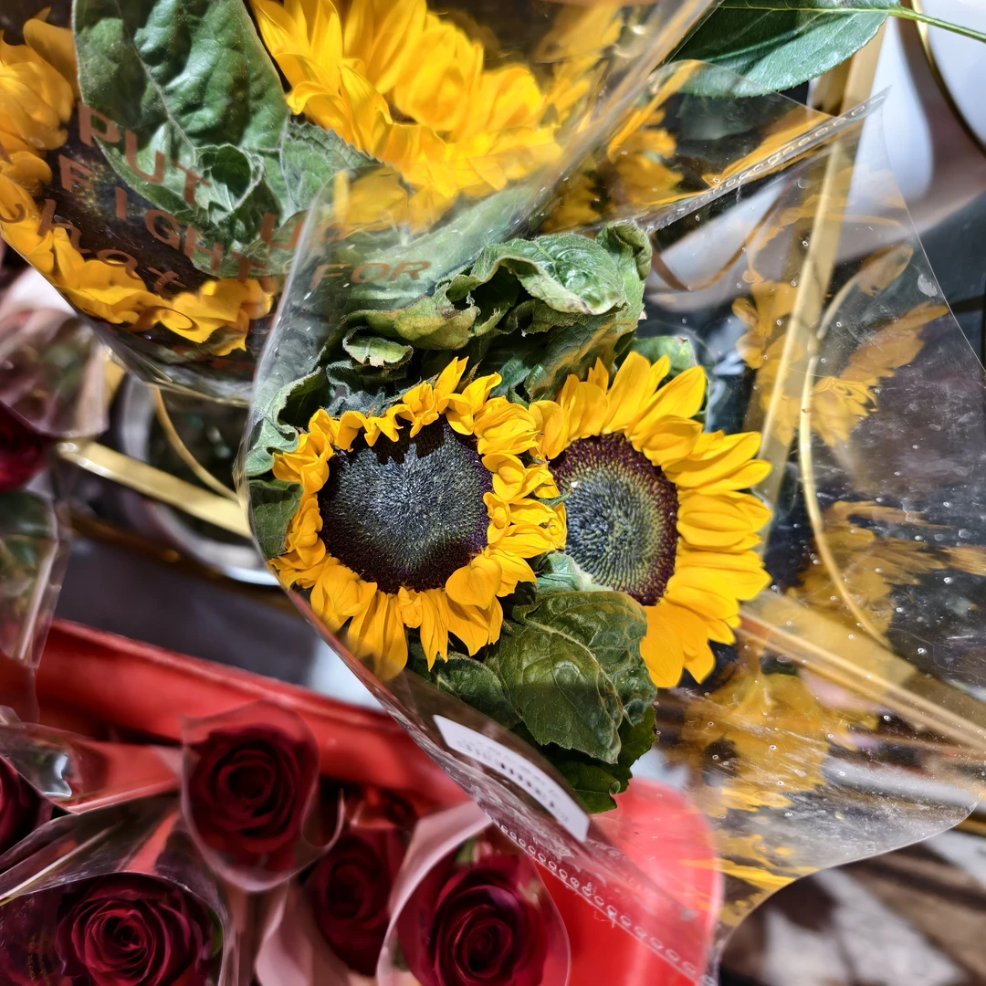 向日葵鲜花 2 支装