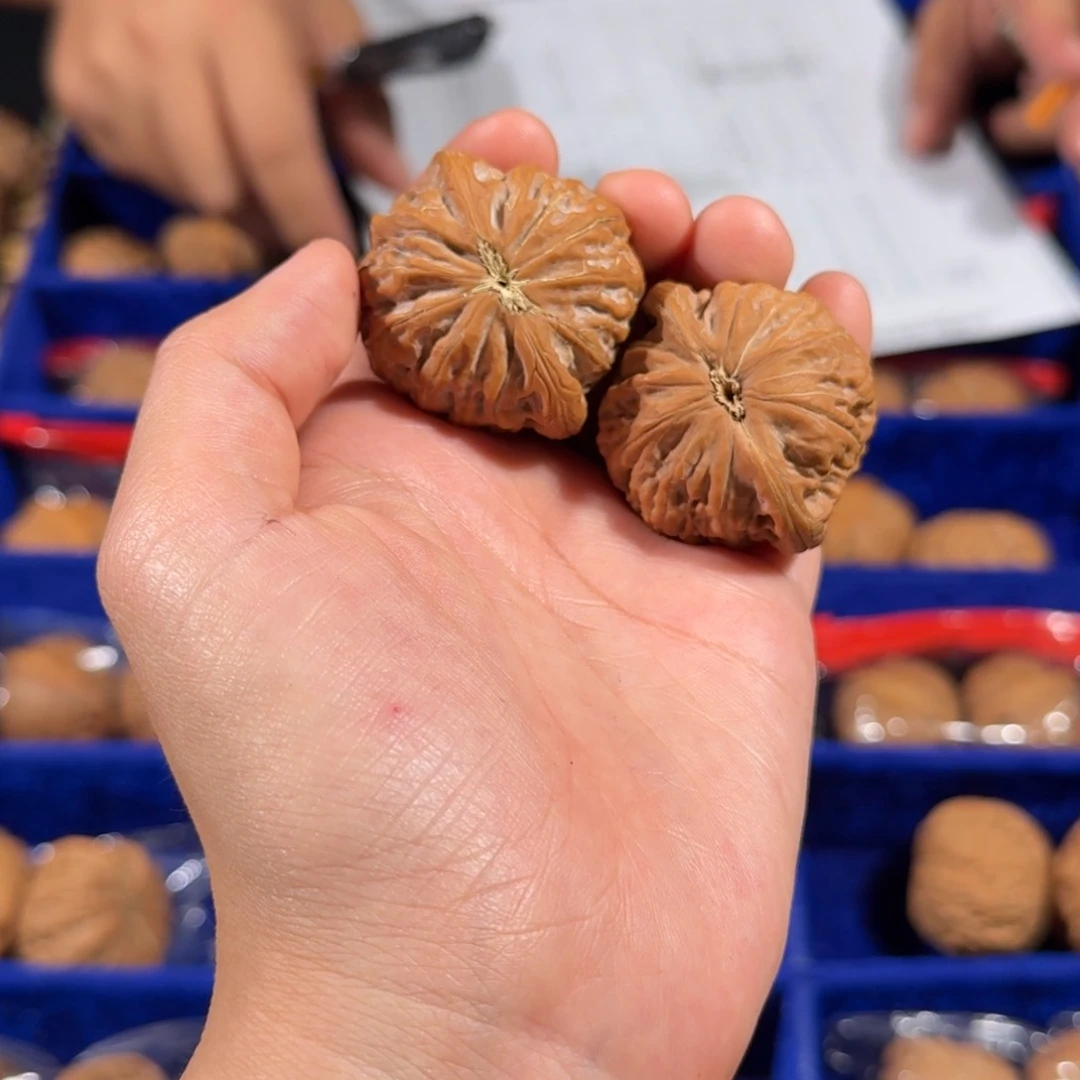 文玩核桃把件220号37mm铁锤妹妹