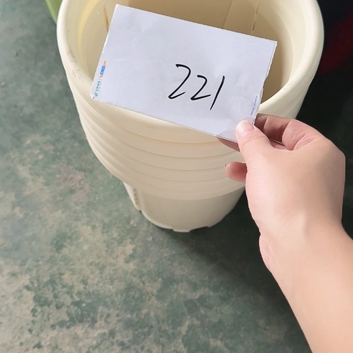 编号221瑕疵6个无托