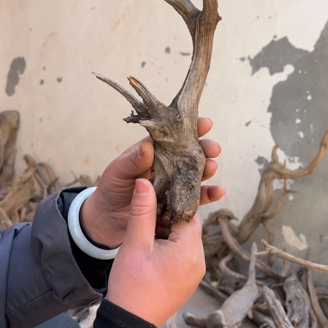 柏木（崖柏）杨**e文玩崖柏