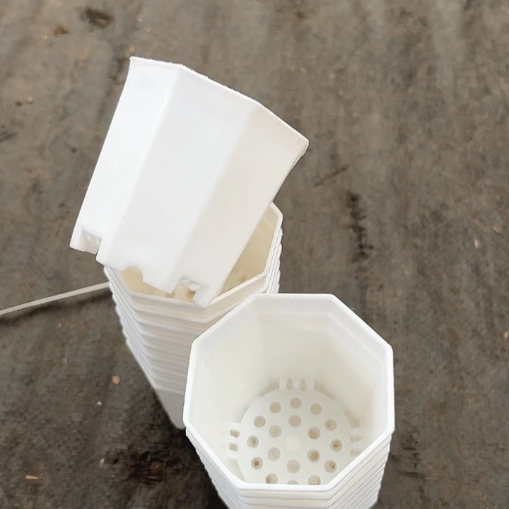 7公分八角盆12个