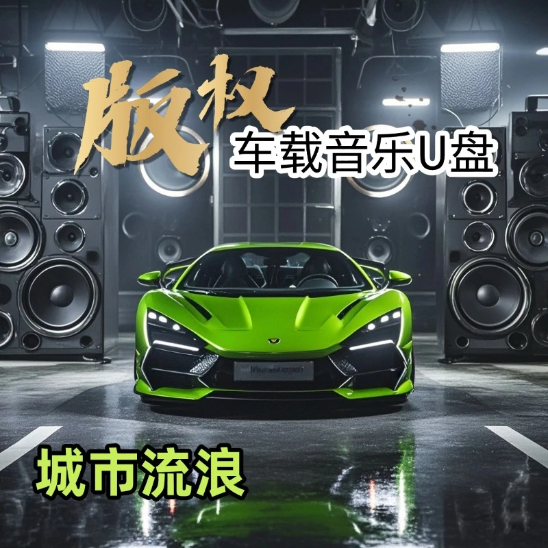 2025火遍网络流行新歌车载MP3/4音乐U盘抖音网红热门神曲高音质优