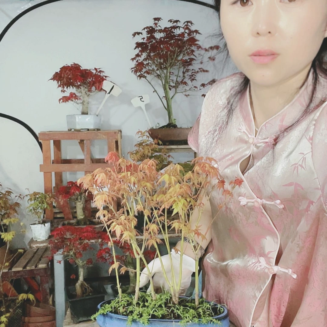 【闪购商品】完全开放三****。