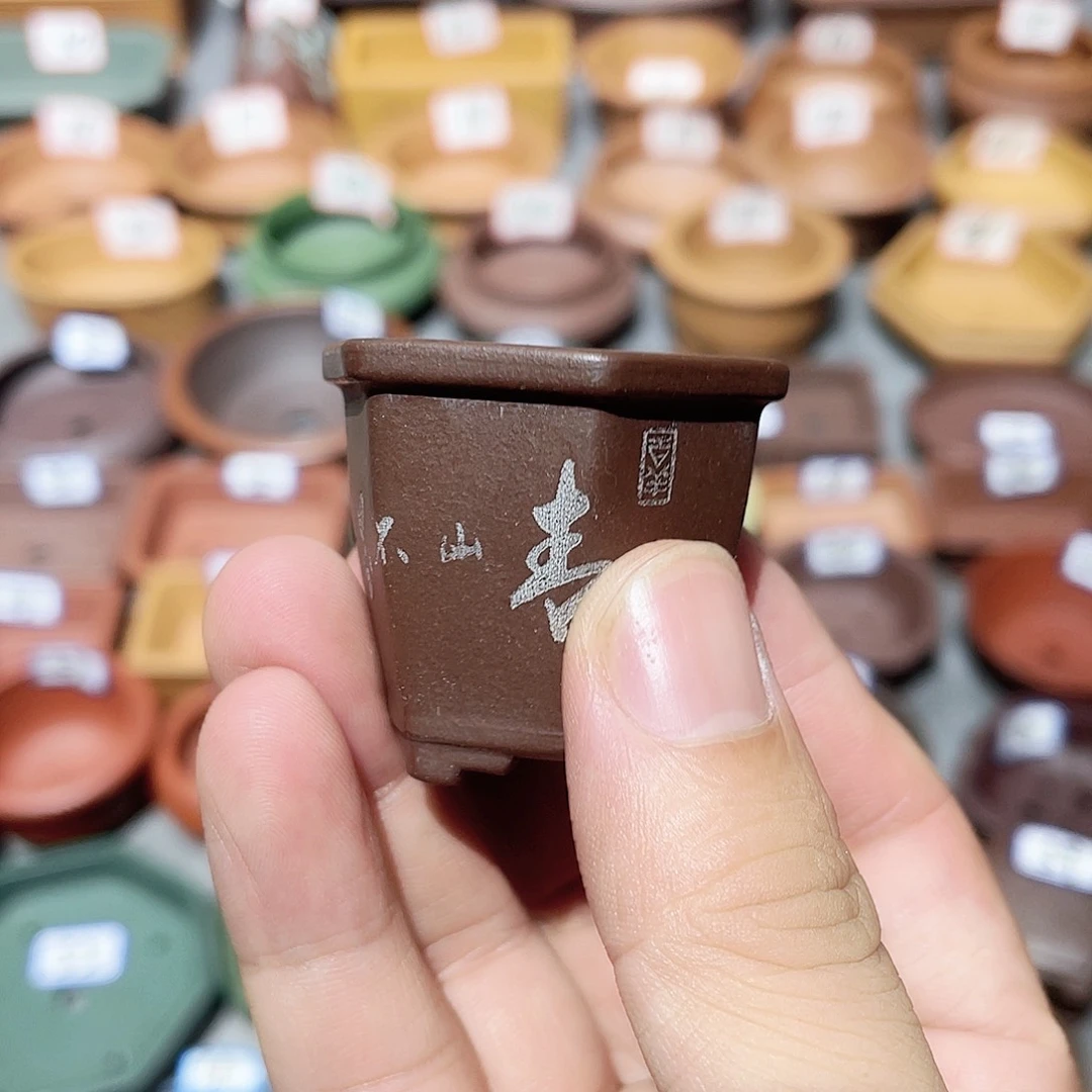 紫砂小盆3.3*4cmmmmm