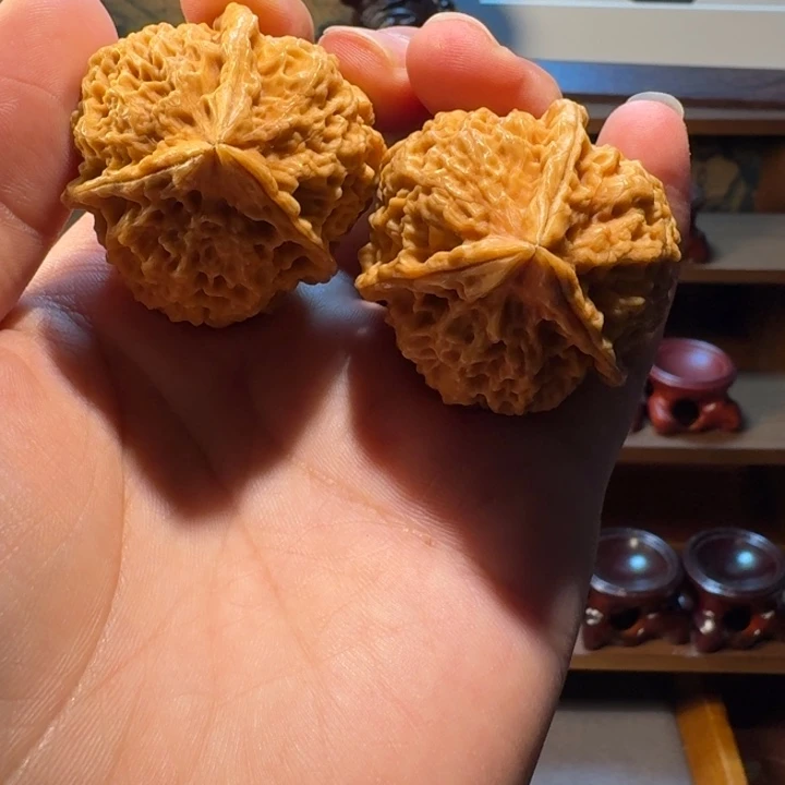 云南铁核桃手把件太湖石三棱2号