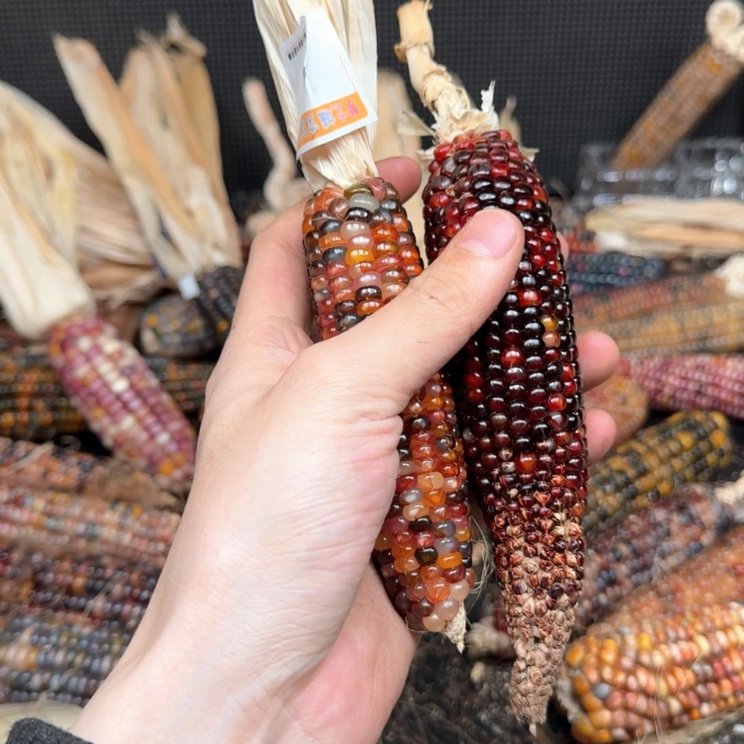 柏香籽/百香籽吊坠?****?