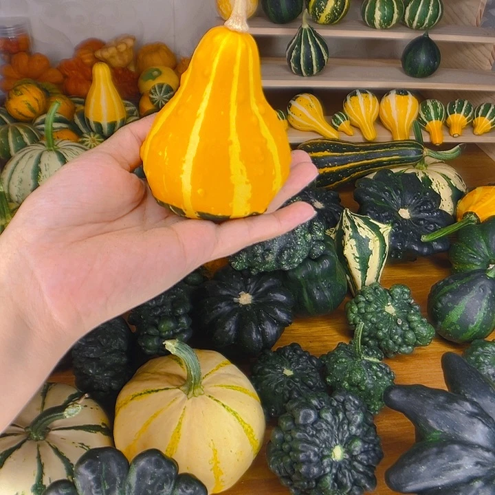 葫芦中国大陆永****远