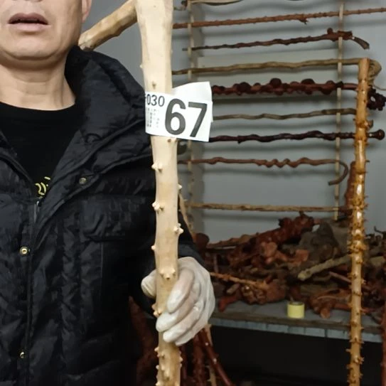 大***五香榧木高山 檬子木文玩料