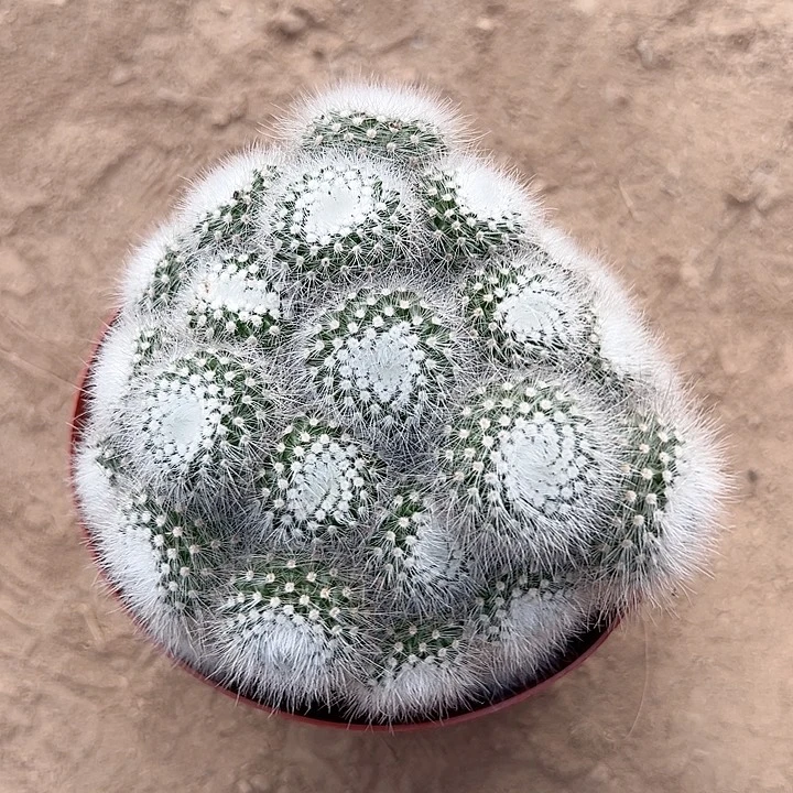 秦***建恭喜发财。